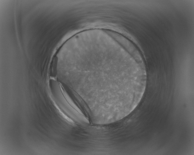 X0000080661525200701121553