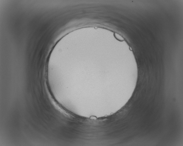 X0000080661526200701121553