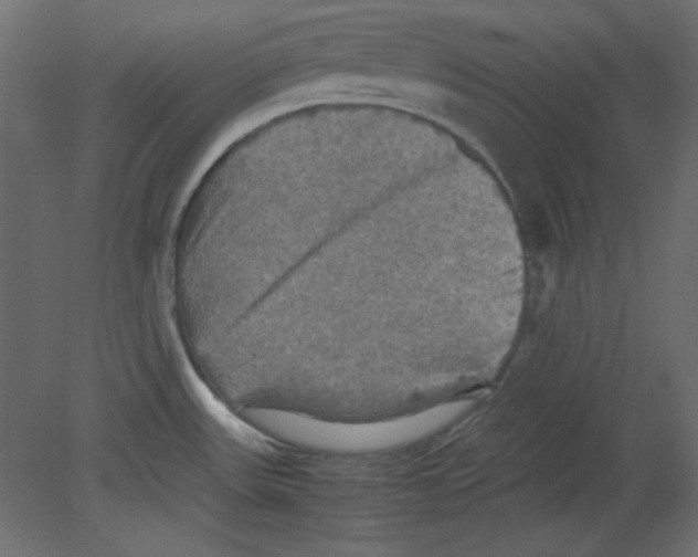 X0000080661531200701121553