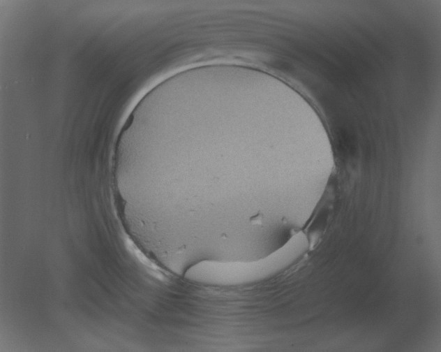 X0000080661532200701121553