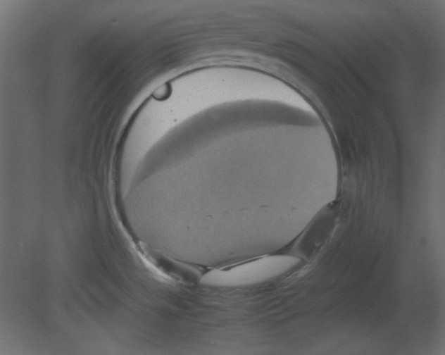 X0000080661533200701121553