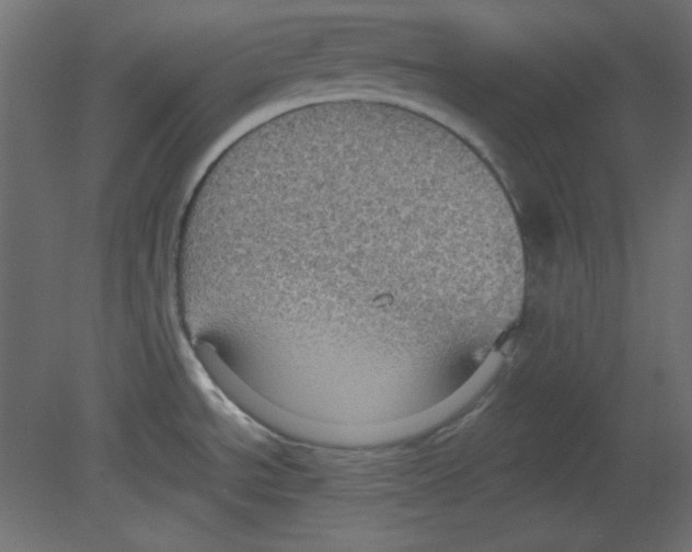 X0000080661534200701121553