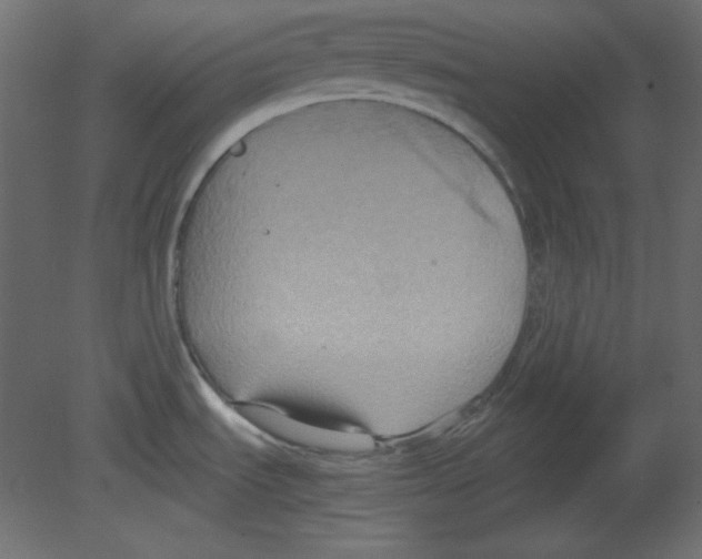 X0000080661535200701121553