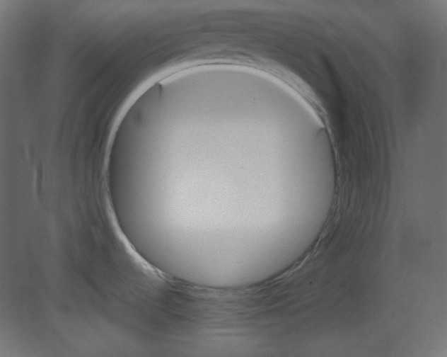 X0000080661536200701121553