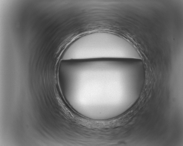 X0000080670002200612150813