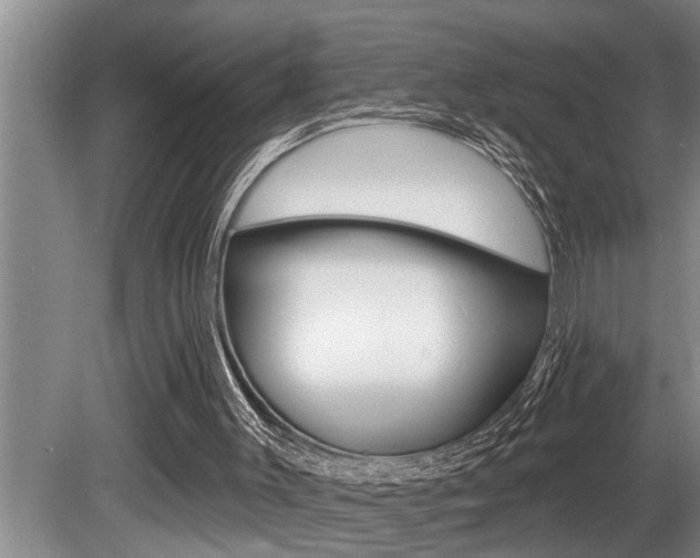 X0000080670003200612150813