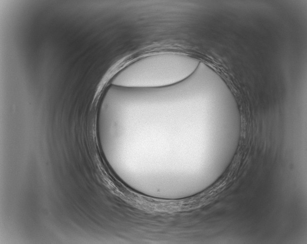 X0000080670004200612150813
