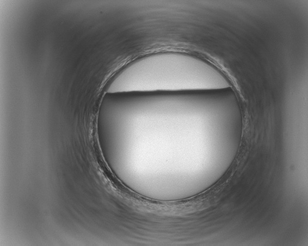 X0000080670010200612150813