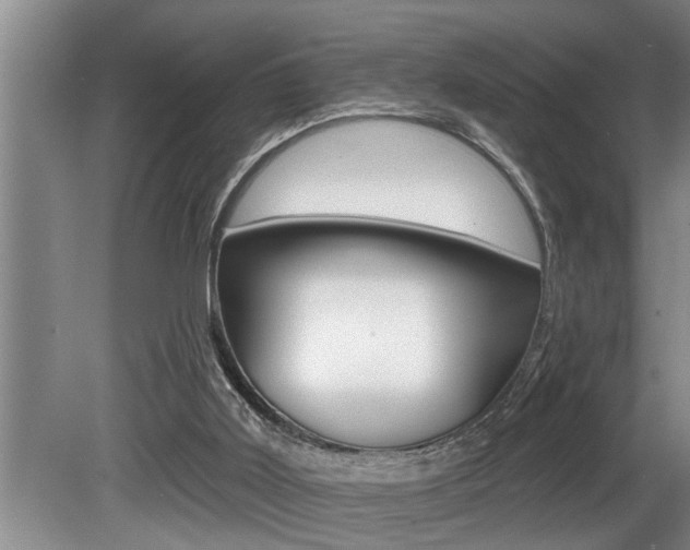 X0000080670011200612150813