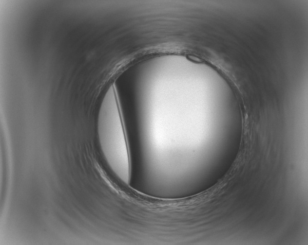 X0000080670013200612150813