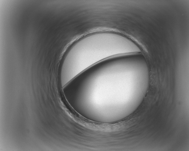 X0000080670015200612150813