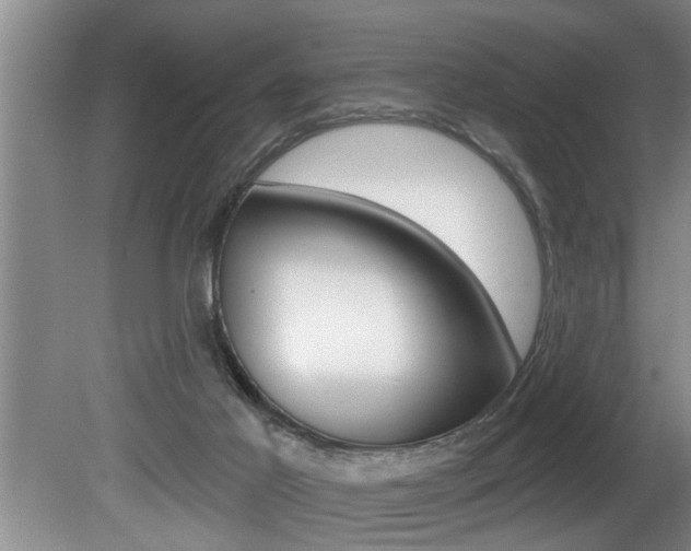 X0000080670021200612150813