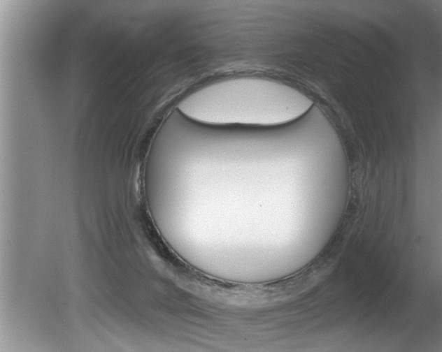 X0000080670024200612150813