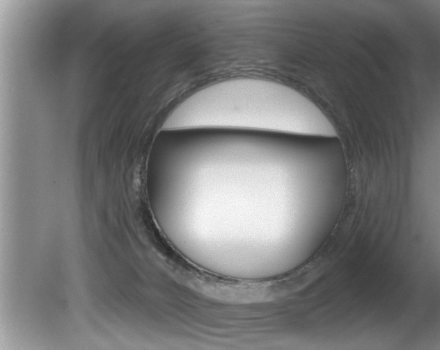 X0000080670032200612150813