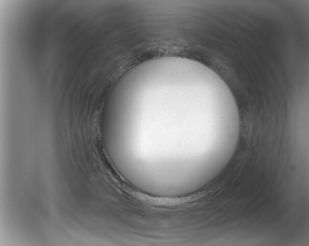 X0000080670034200612150813