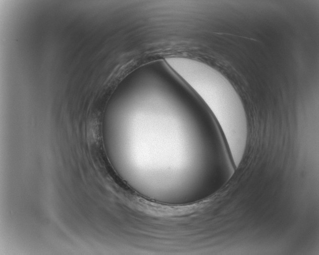 X0000080670035200612150813