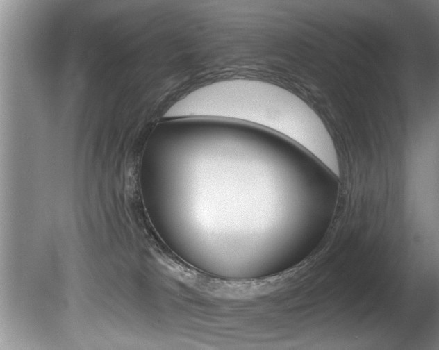 X0000080670037200612150813
