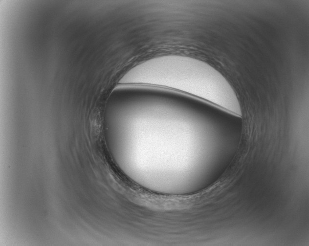 X0000080670040200612150812