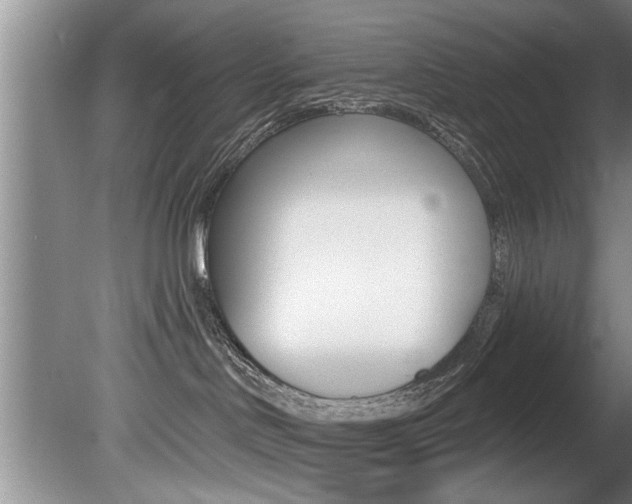 X0000080670046200612150812