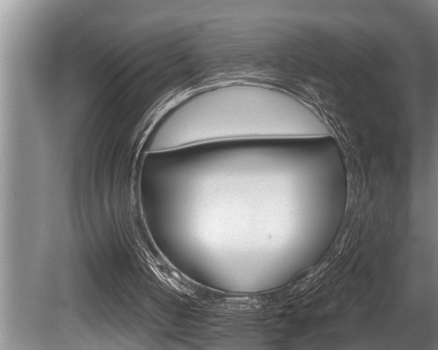 X0000080670050200612150812