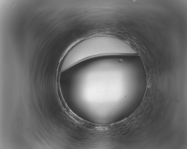 X0000080670052200612150812
