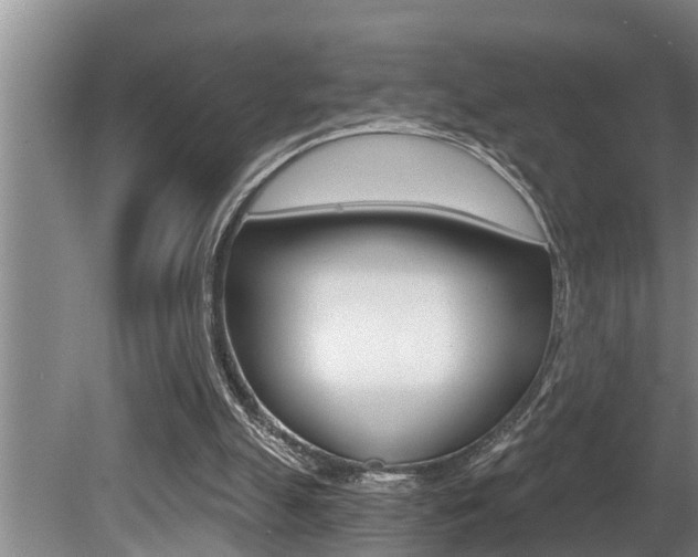 X0000080670055200612150812