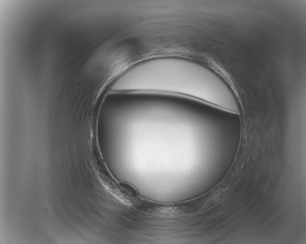 X0000080670059200612150812