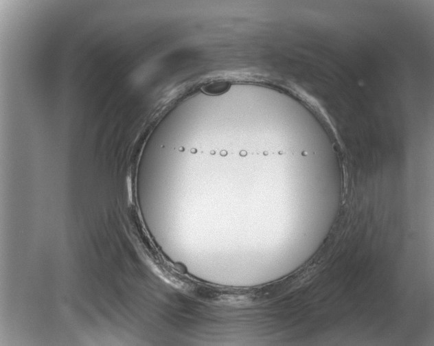 X0000080670061200612150812