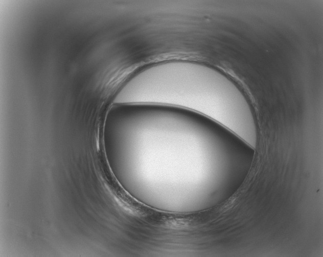 X0000080670062200612150812
