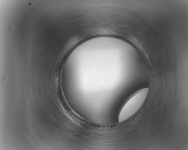 X0000080670063200612150812