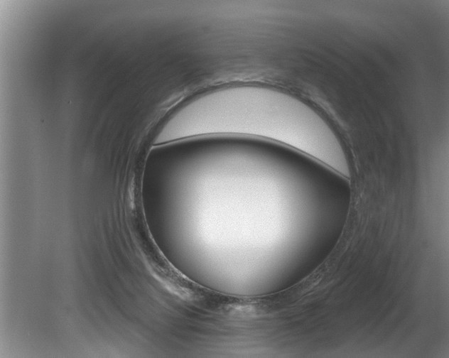 X0000080670068200612150812