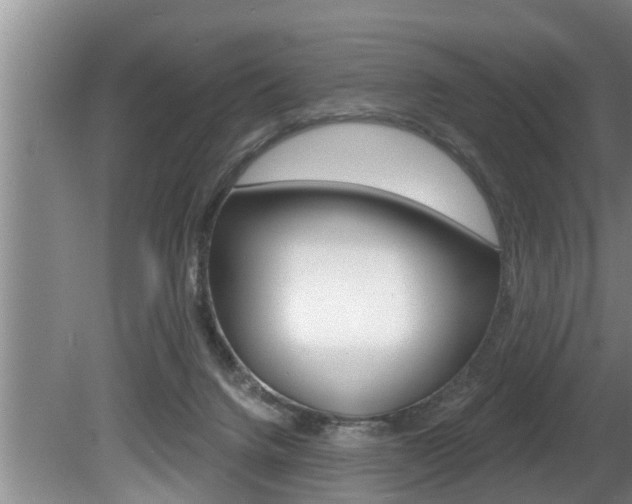 X0000080670072200612150812