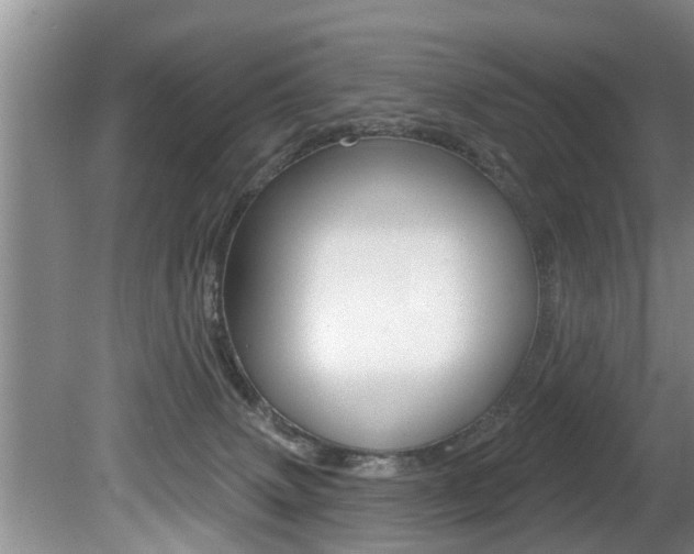 X0000080670083200612150812