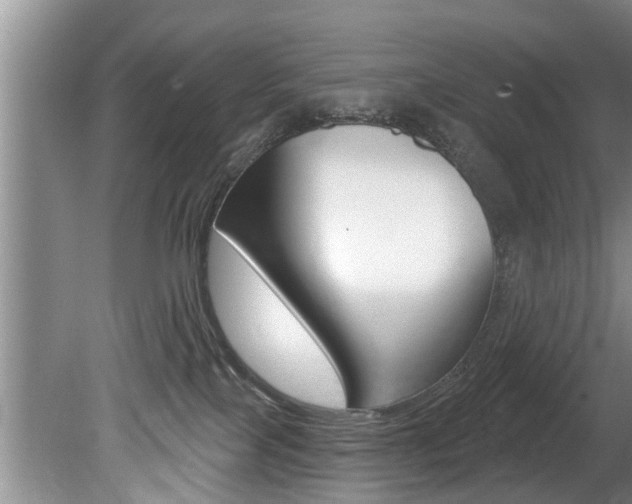 X0000080670089200612150812