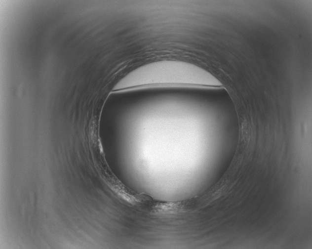 X0000080670092200612150812