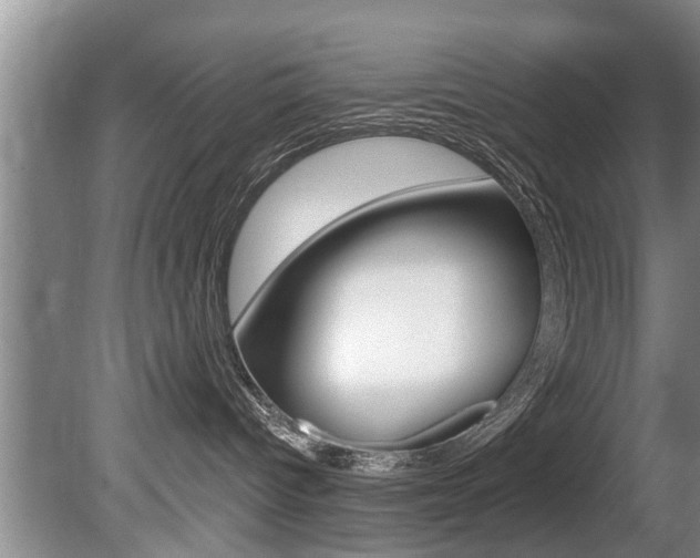 X0000080670096200612150812