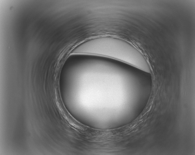 X0000080670097200612150812