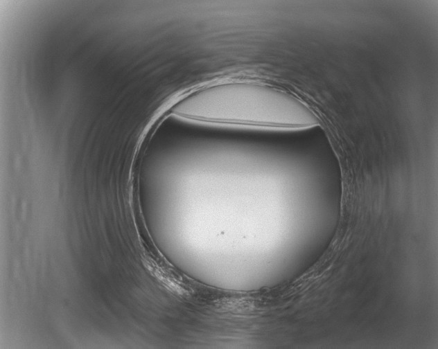 X0000080670100200612150811