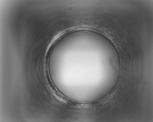 X0000080670102200612150811