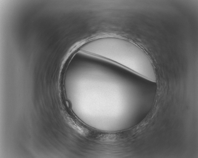 X0000080670104200612150811