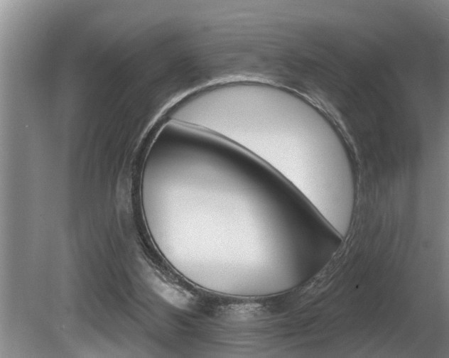 X0000080670108200612150811