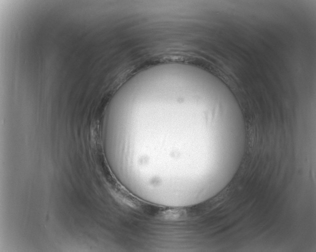 X0000080670126200612150811