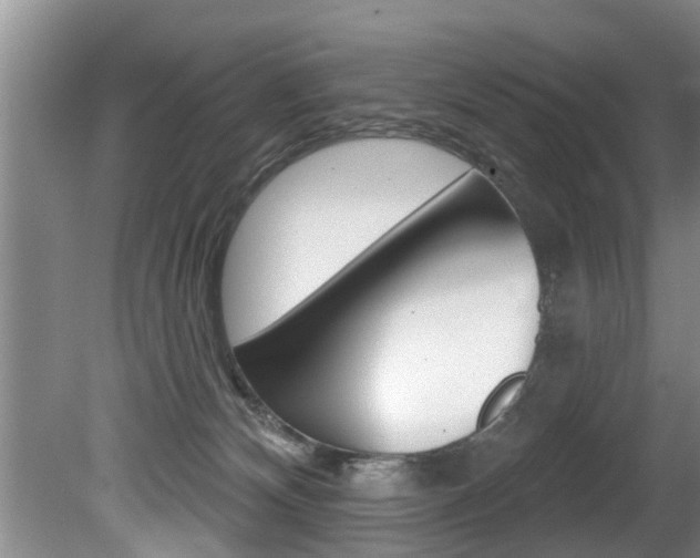 X0000080670132200612150811