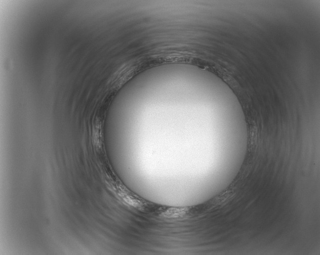 X0000080670138200612150811