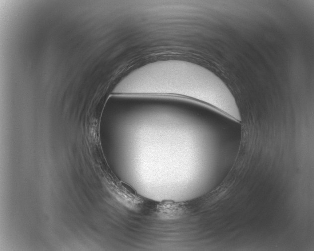 X0000080670141200612150811