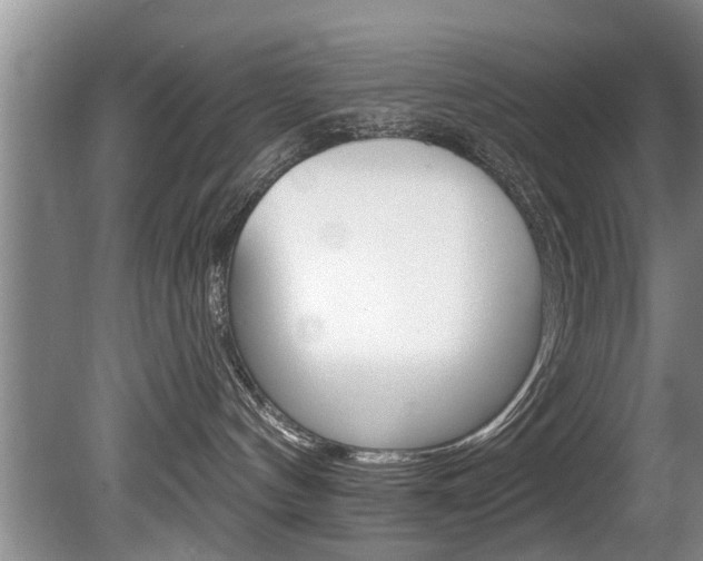 X0000080670144200612150811