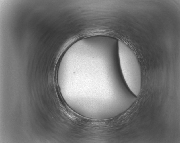X0000080670147200612150810
