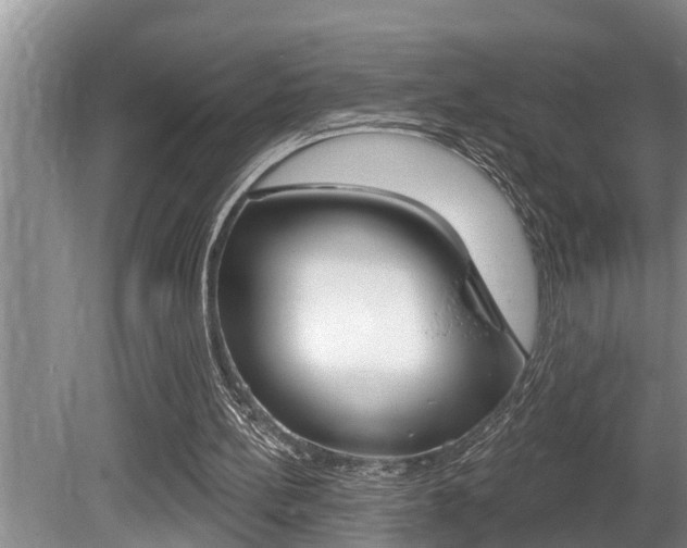 X0000080670148200612150810