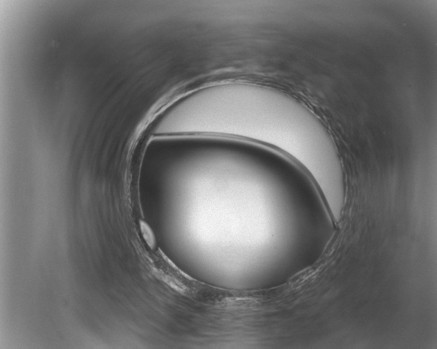 X0000080670150200612150810