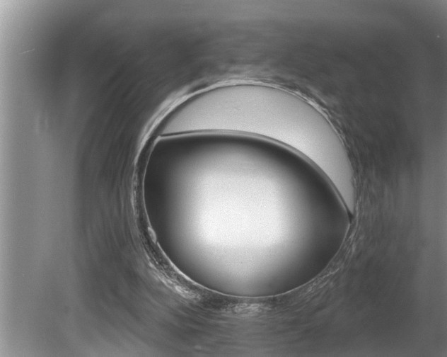 X0000080670152200612150810